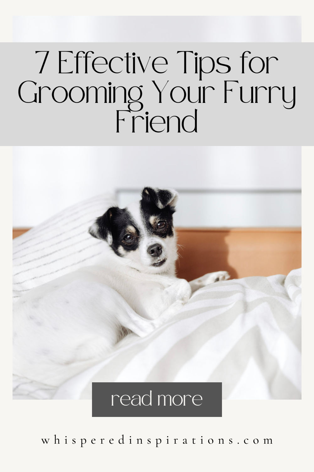 7 Effective Tips for Grooming Your Furry Friend
