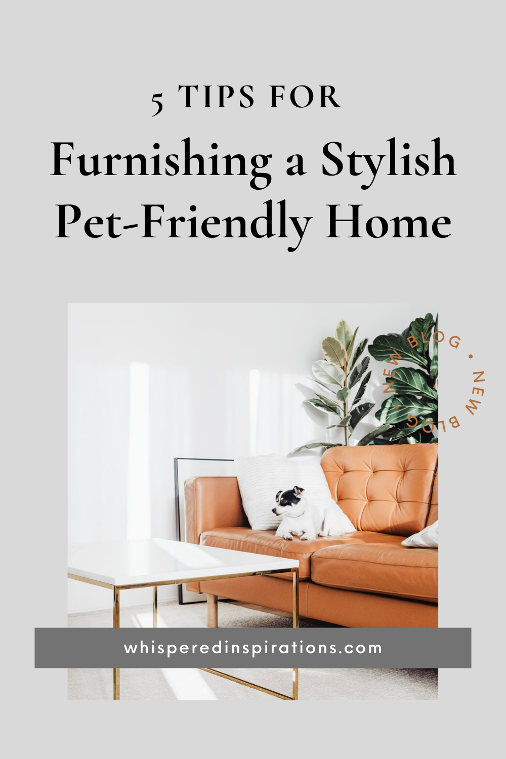 A dog sits on a leather couch. There are green plants behind him. This article offers tips for furnishing a stylish pet-friendly home.
