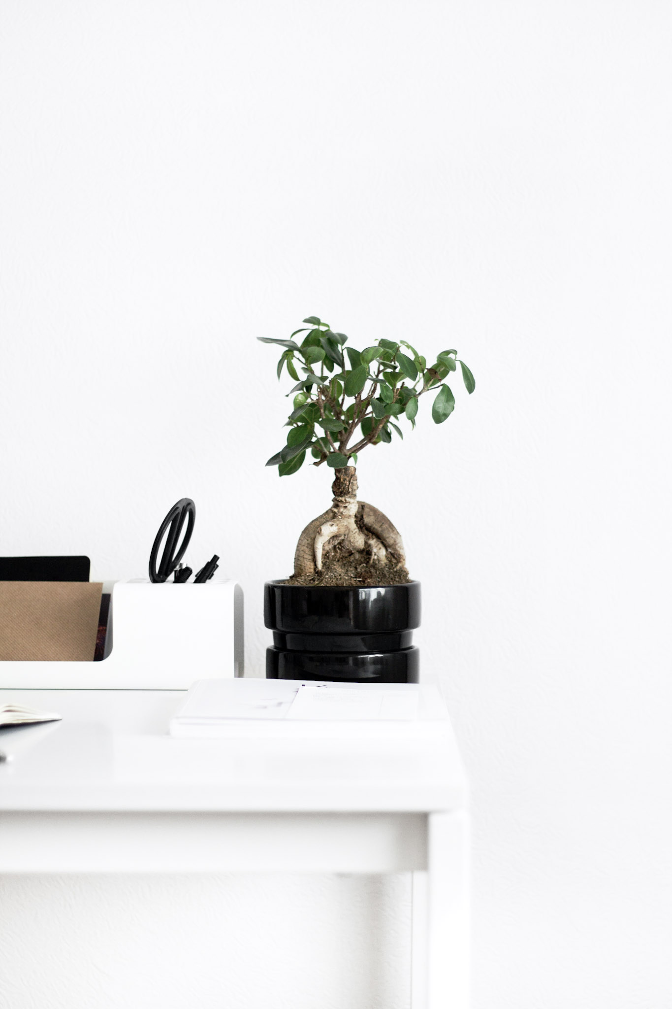 A beautiful side table in a bedroom holds a plant and other items. This article covers decorating tips for your bedroom.