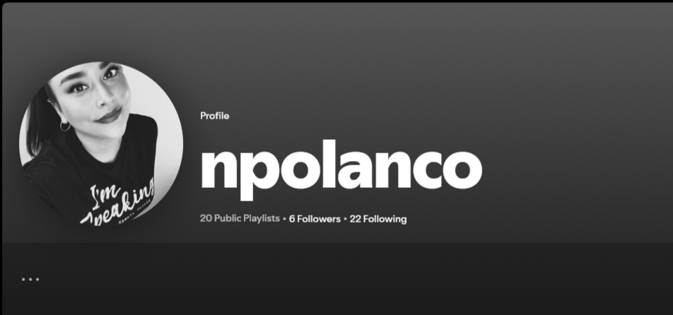 Spotify profile: npolanco 