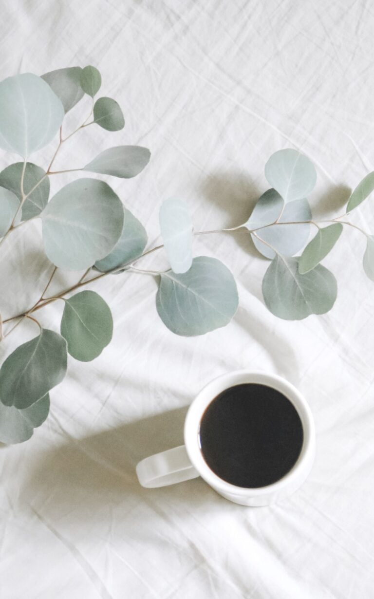 From CBD Gummies to Creative Crafts: Your Guide to Blissful Downtime