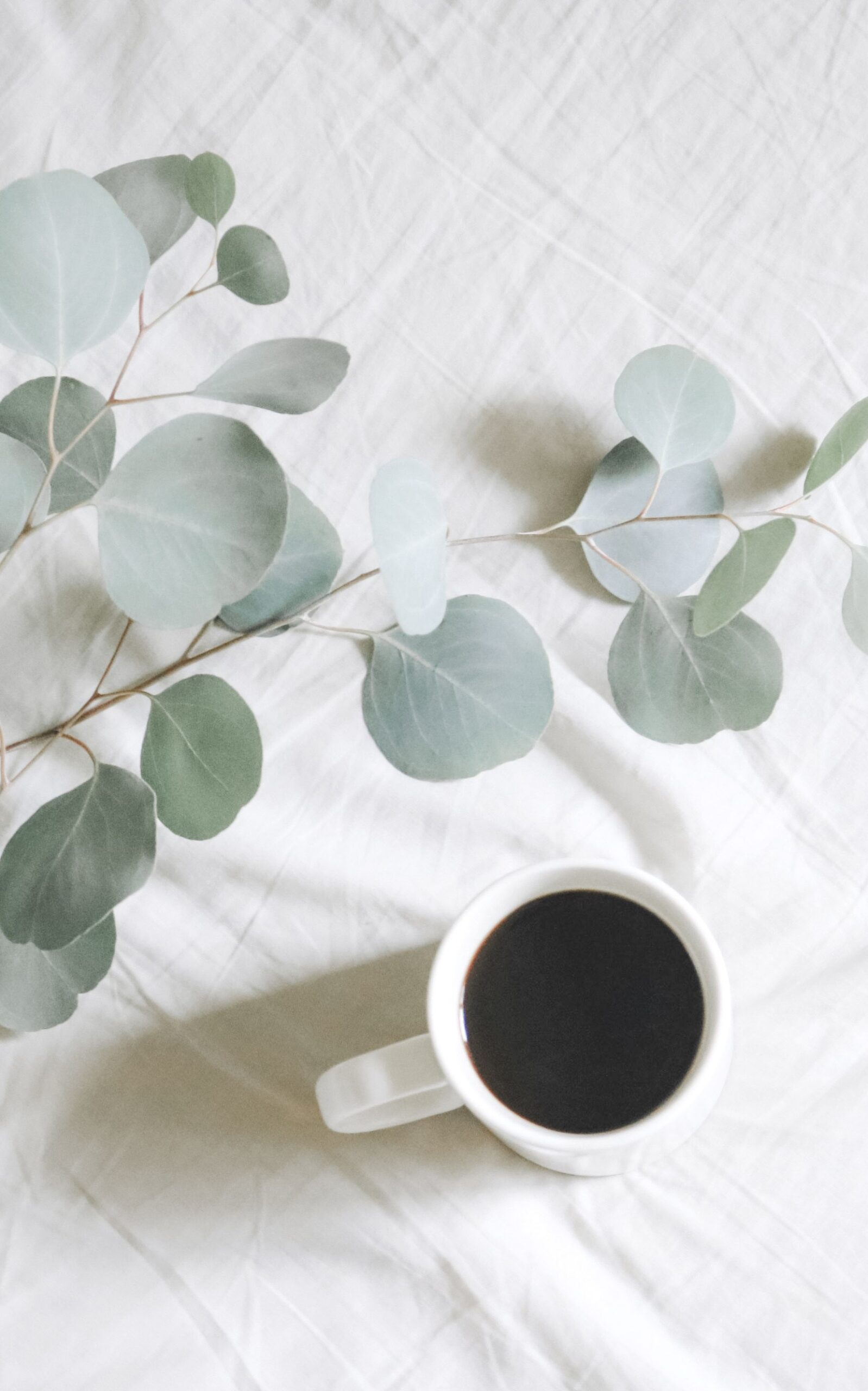 From CBD Gummies to Creative Crafts: Your Guide to Blissful Downtime