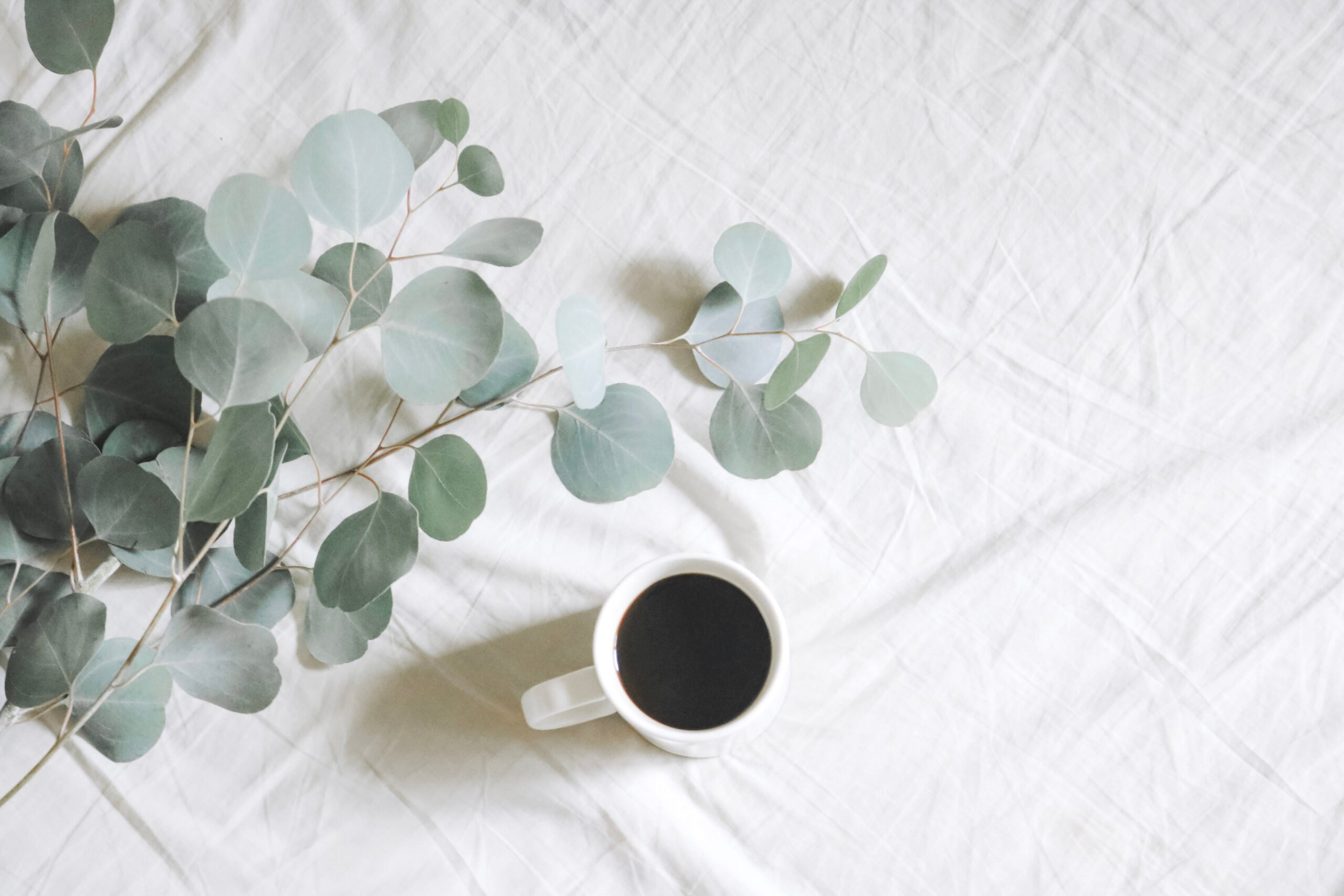 A white sheet with a cup of black coffee and twigs of eucalyptus. This article covers cbd gummies to creative crafts.