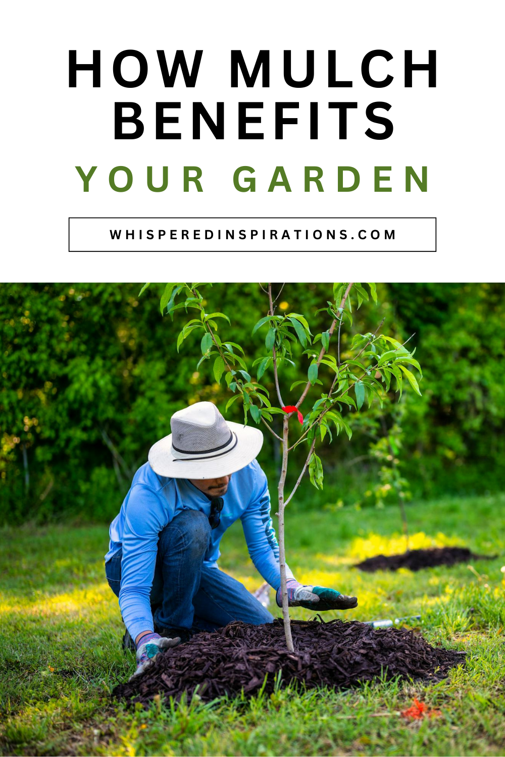 Explore the mulch benefits for your garden. Improve soil health, reduce weeds, and support plant vitality effortlessly.