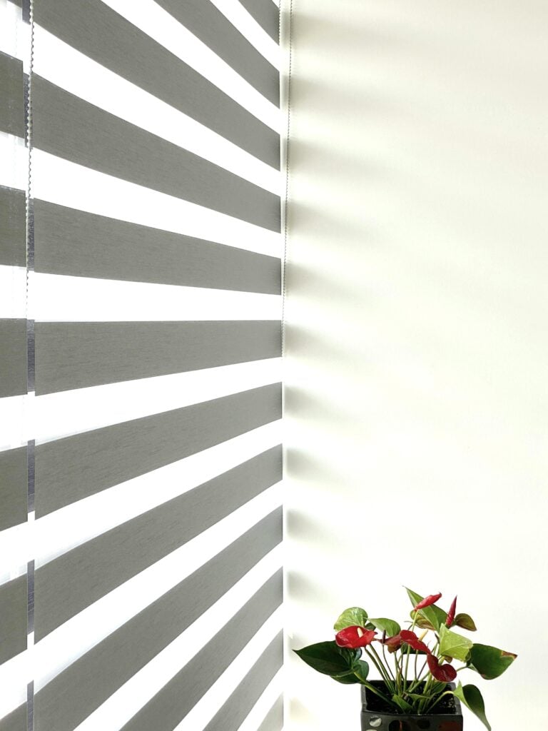 A plant sits next to modern window blinds. This article covers the energy saving benefits of modern window blinds.