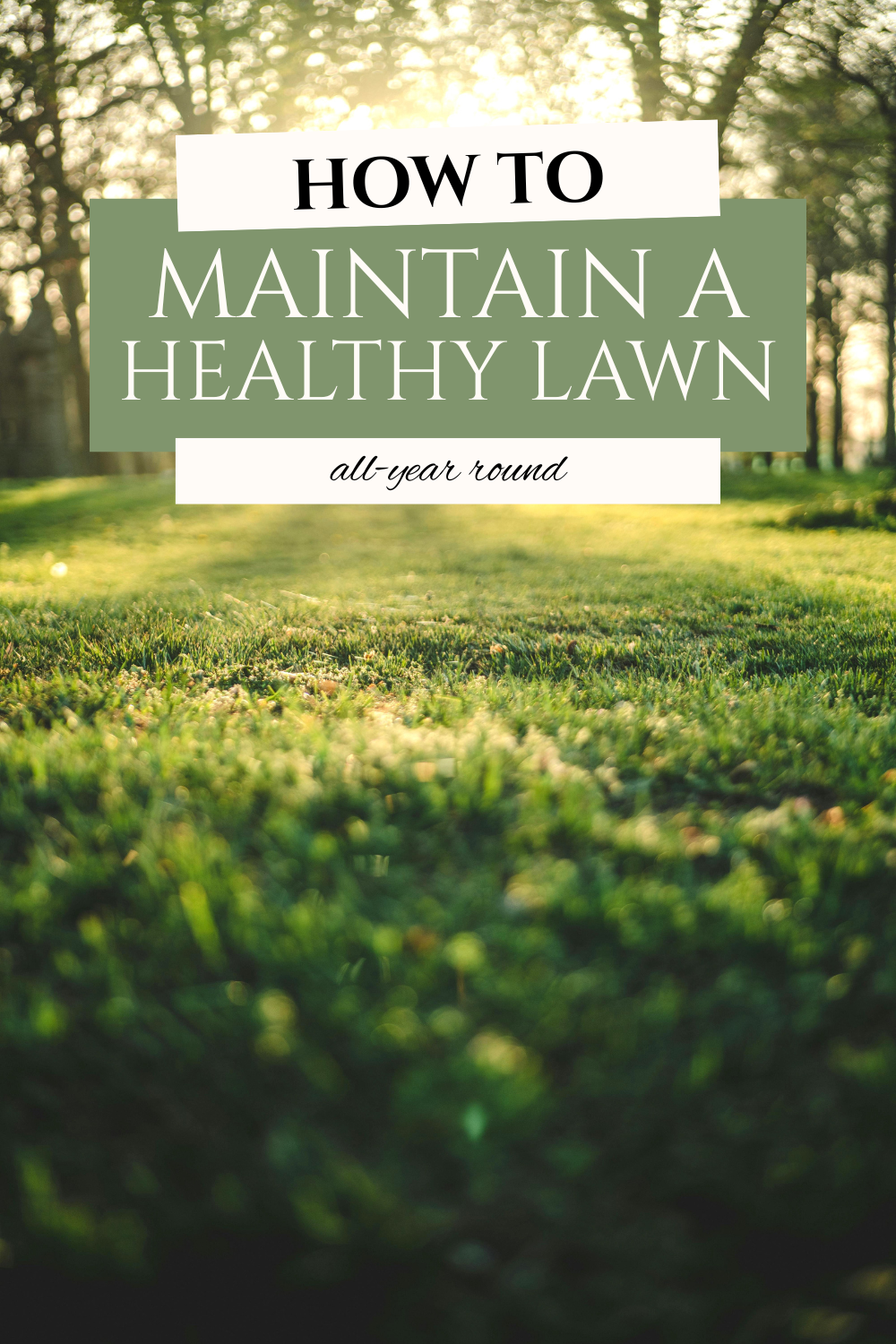 Keep your lawn looking its best. Explore easy strategies to maintain a healthy lawn and enjoy a vibrant outdoor space.