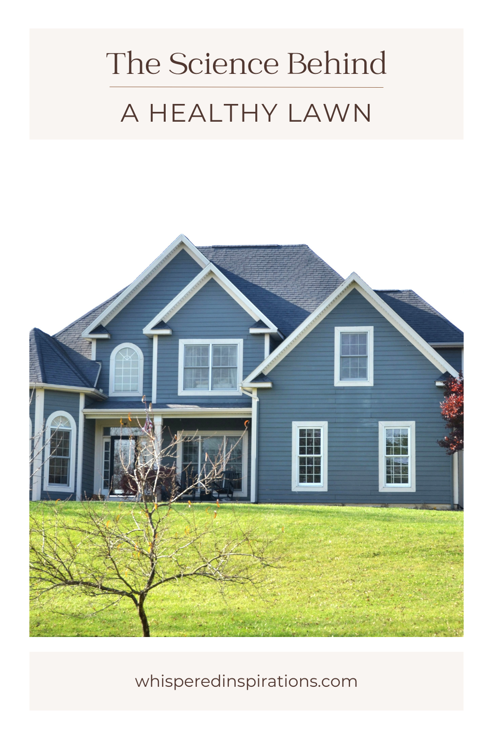 Unlock the secrets to a healthy lawn in Tampa. Discover how soil pH and climate affect your grass's health.