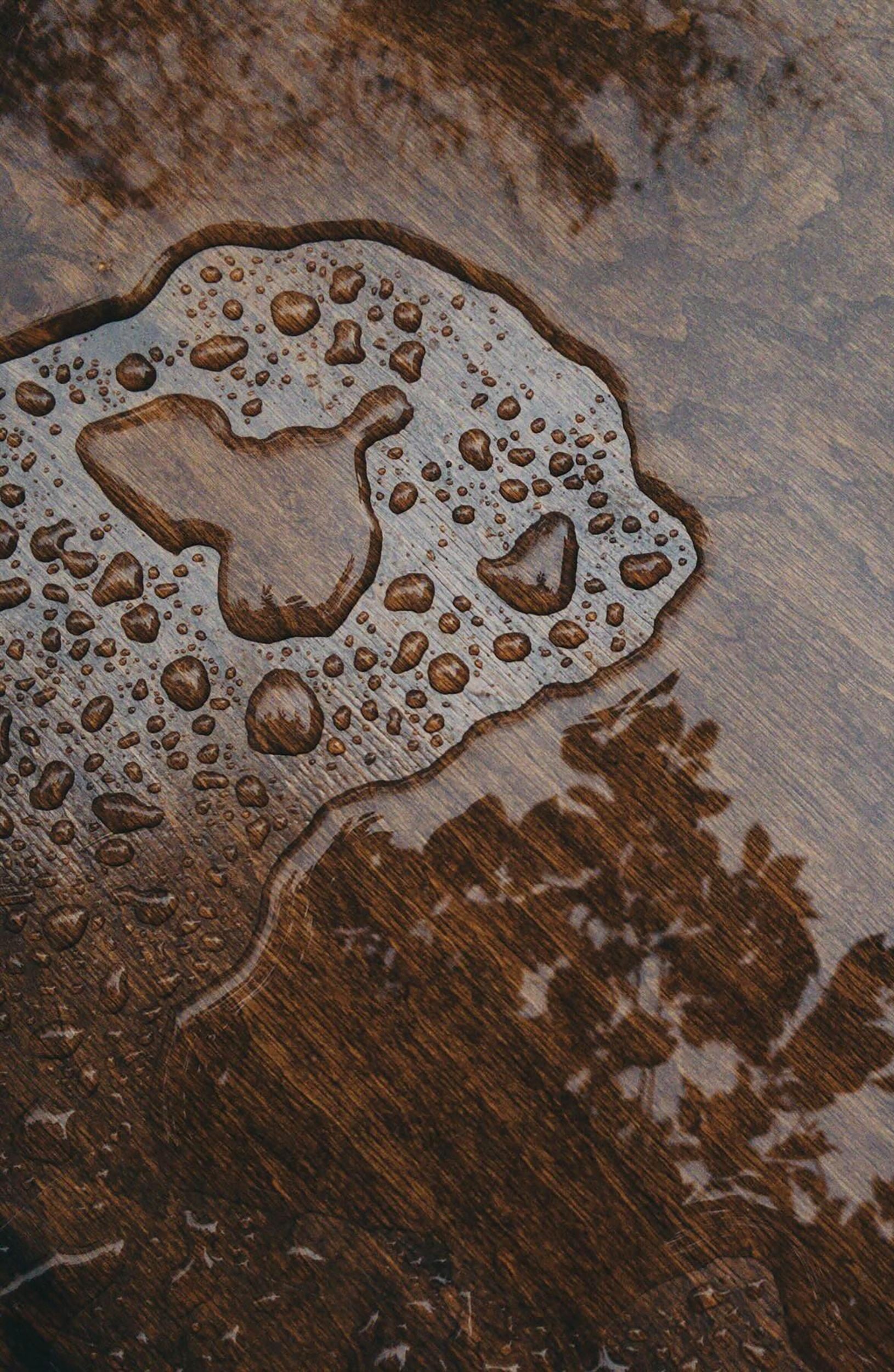 A puddle of water on a hardwood floor. This article covers the reasons why moisture levels in wood saves costly repair bills.