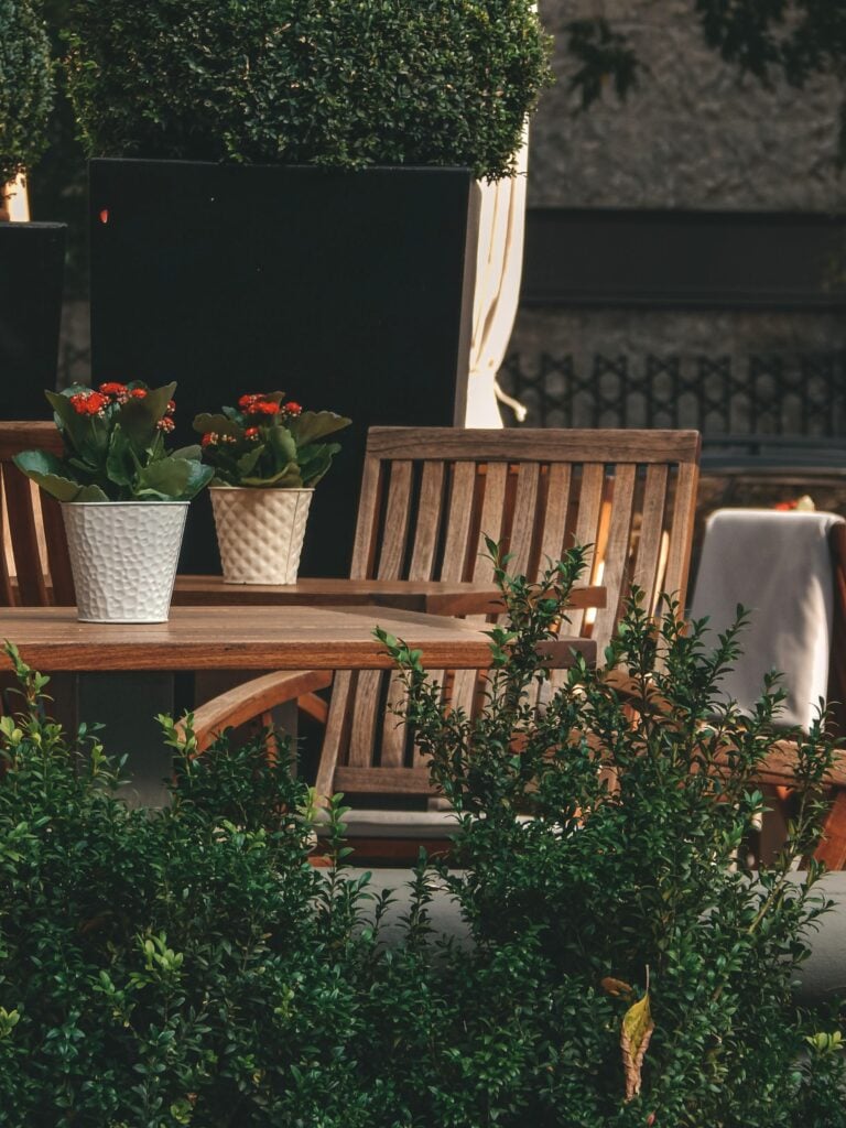 A beautiful and inviting backyard space with patio furniture and plants. This article offers a homeowner's guide to creating a more comfortable outdoor space.