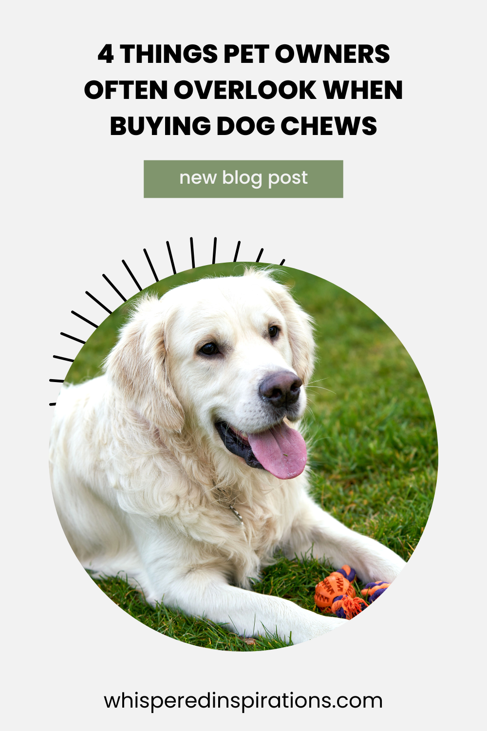 When buying dog chews, stop relying only on weight charts. Learn four key factors like chewing style and ingredient quality to keep your dog safe.