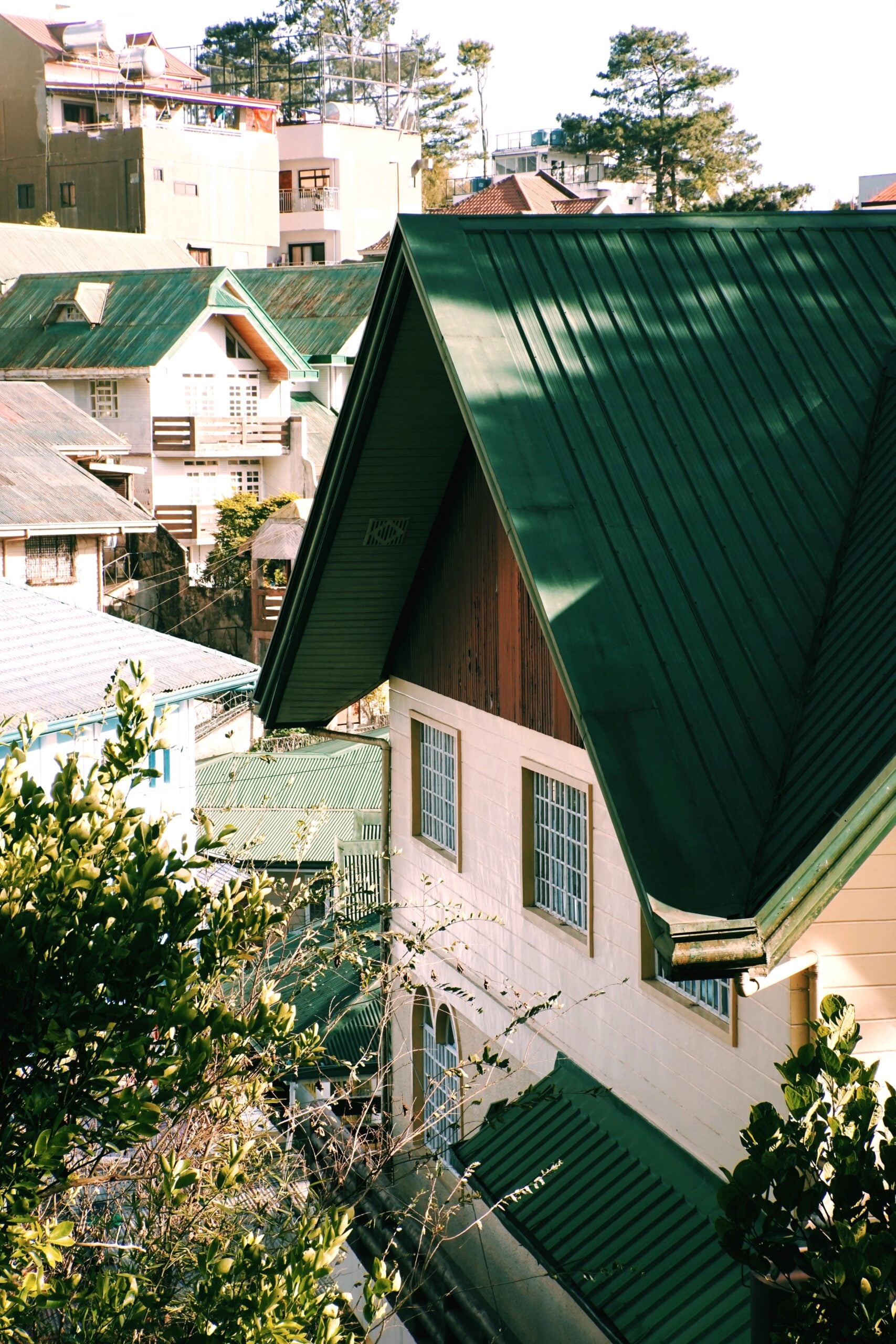 A picturesque view of townhouses featuring green metal roofs surrounded by sunlight and lush trees. This article shares how roof upgrades boost comfort and curb appeal.