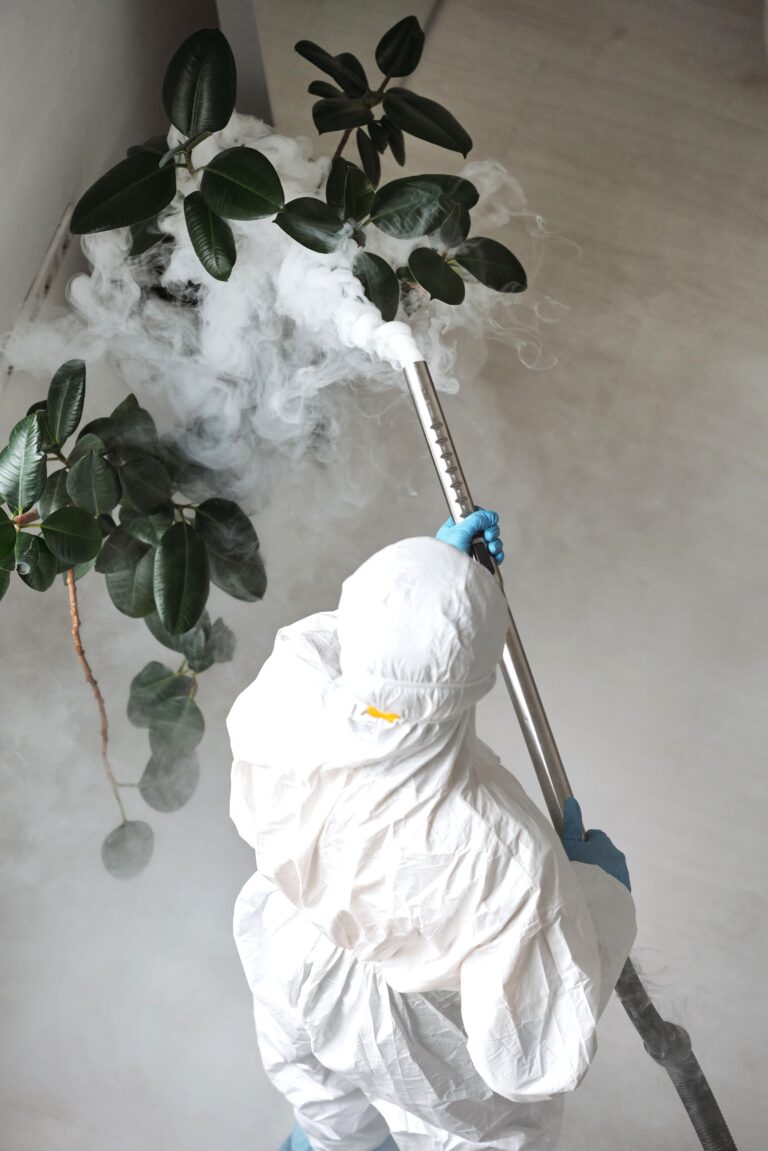 A person in protective gear uses a sprayer for indoor disinfection. This article shares effective pest solutions in Ontario.