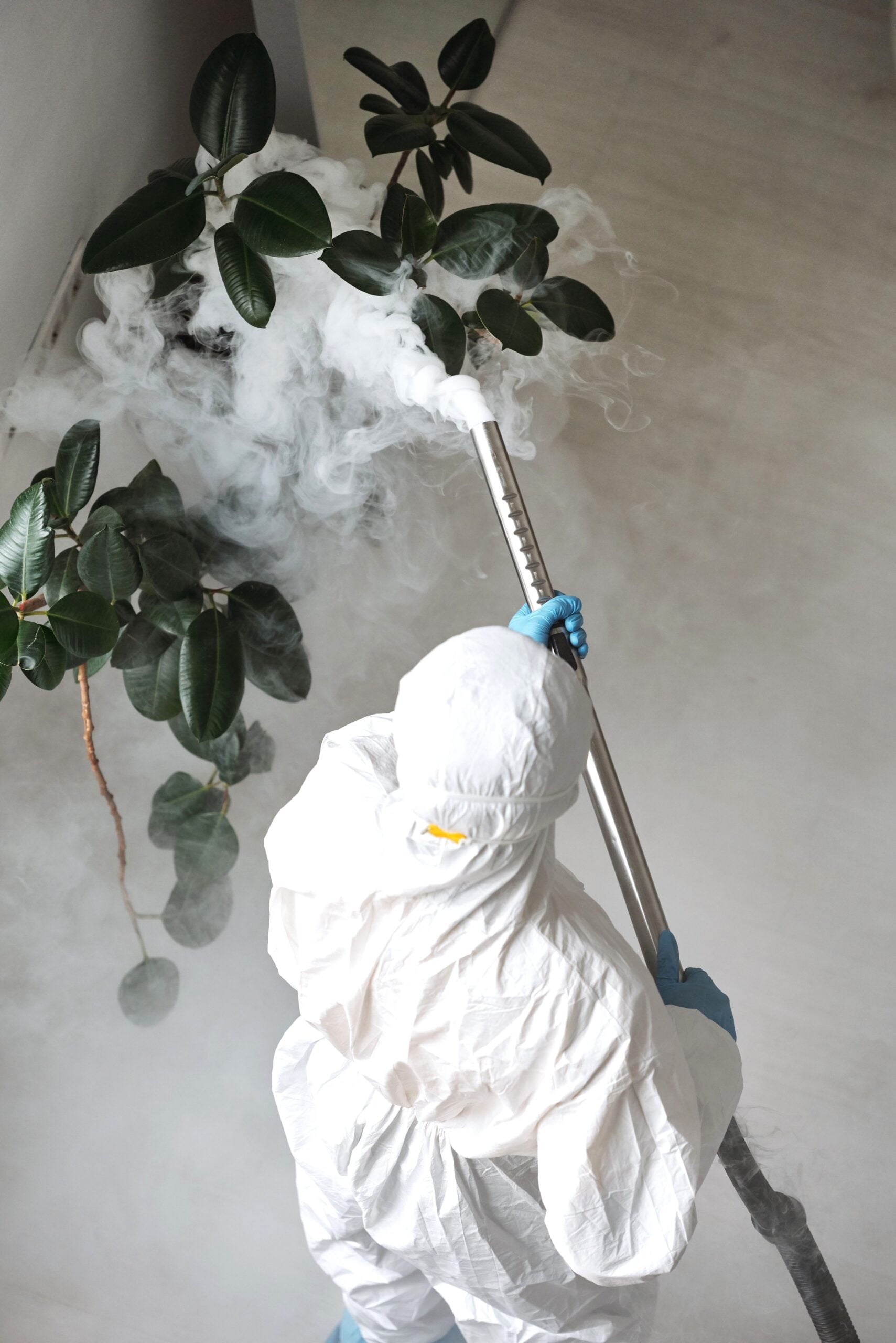 A person in protective gear uses a sprayer for indoor disinfection. This article shares effective pest solutions in Ontario.