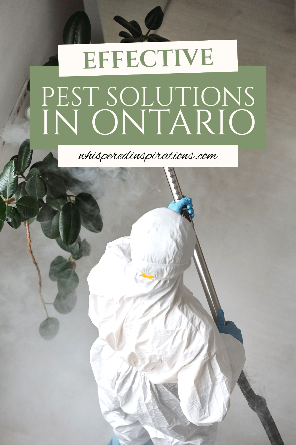 Looking for effective pest solutions in Ontario? Learn how to tackle seasonal pests, protect your property, and prevent future infestations.