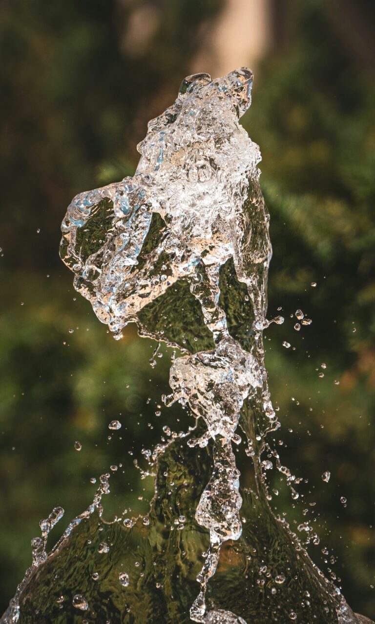 A close up of a water fountain with trees in the background. This article shares which materials last the longest for indoor water fountains.