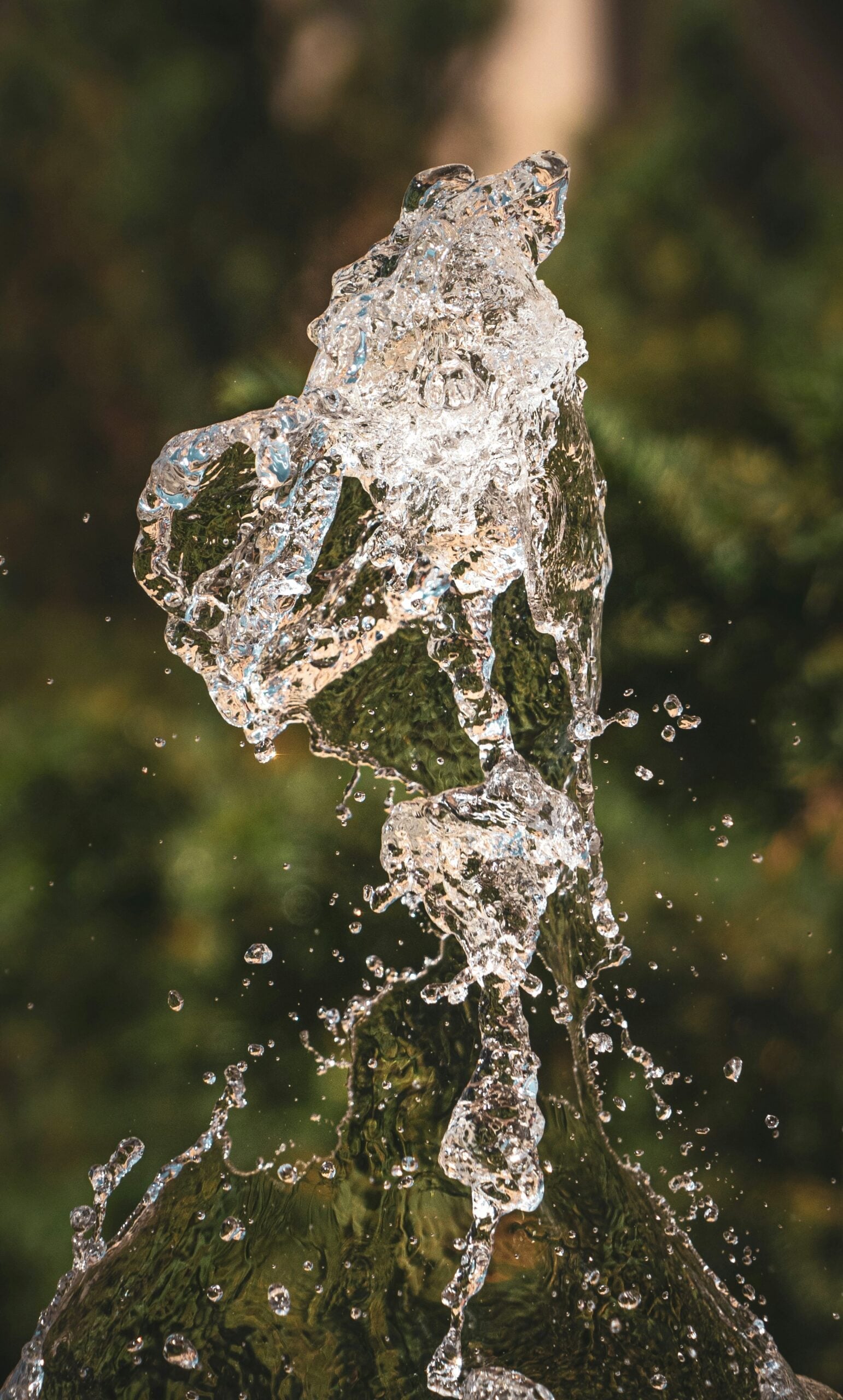A close up of a water fountain with trees in the background. This article shares which materials last the longest for indoor water fountains.