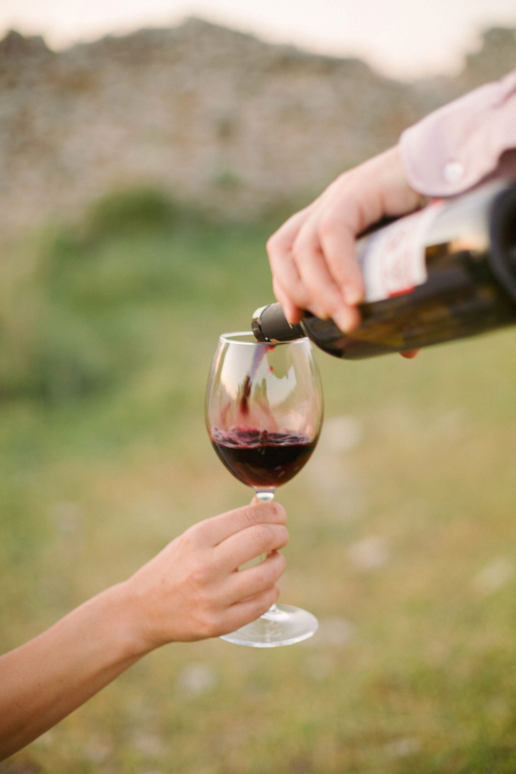 Hand pouring red wine into glass amidst scenic outdoors, capturing elegance. This article shares how to plan a Healdsburg wine country getaway.