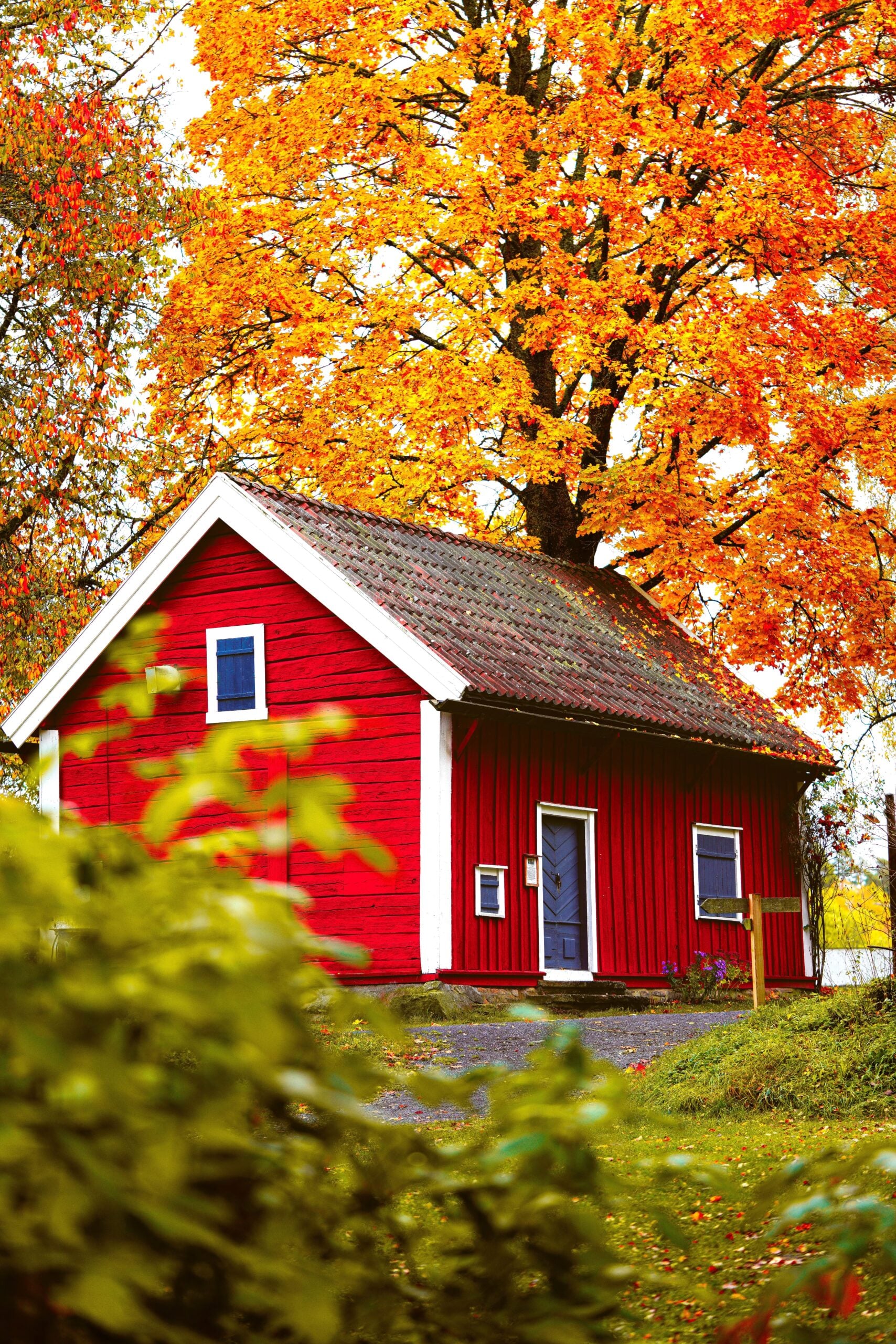 A picturesque red cabin surrounded by vibrant autumn foliage. This article shares a North Okanagan Fall Yard and Home Prep calendar.