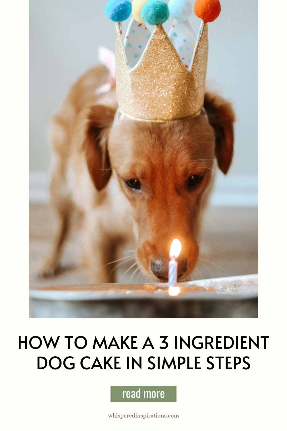 Bake a safe 3 ingredient dog cake recipe with bananas, eggs, and peanut butter for your pup's next celebration.