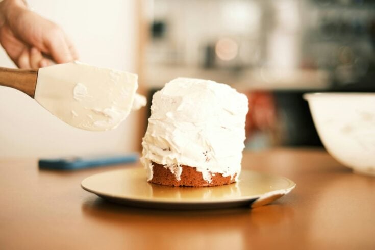 Dog cake being iced.
